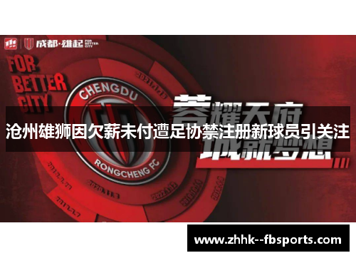 沧州雄狮因欠薪未付遭足协禁注册新球员引关注