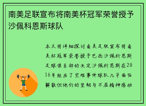 南美足联宣布将南美杯冠军荣誉授予沙佩科恩斯球队